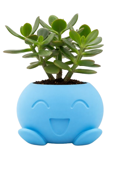 Cupit Planter