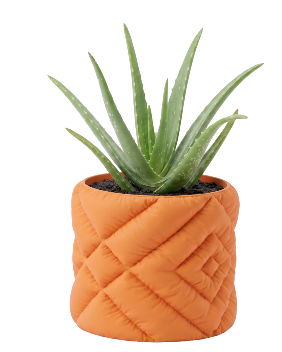 Cushion 3 Planter