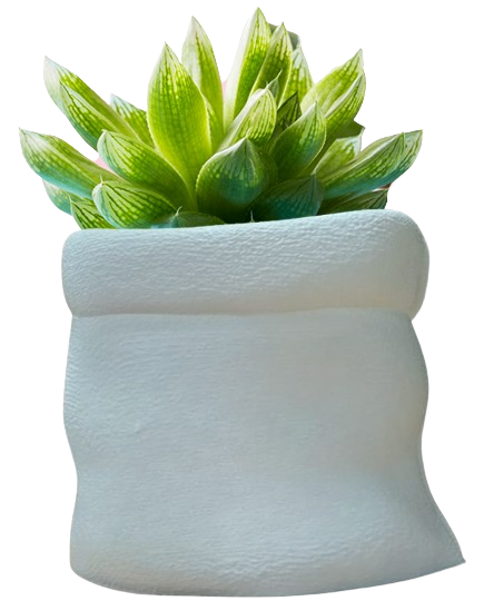 Sack Planter