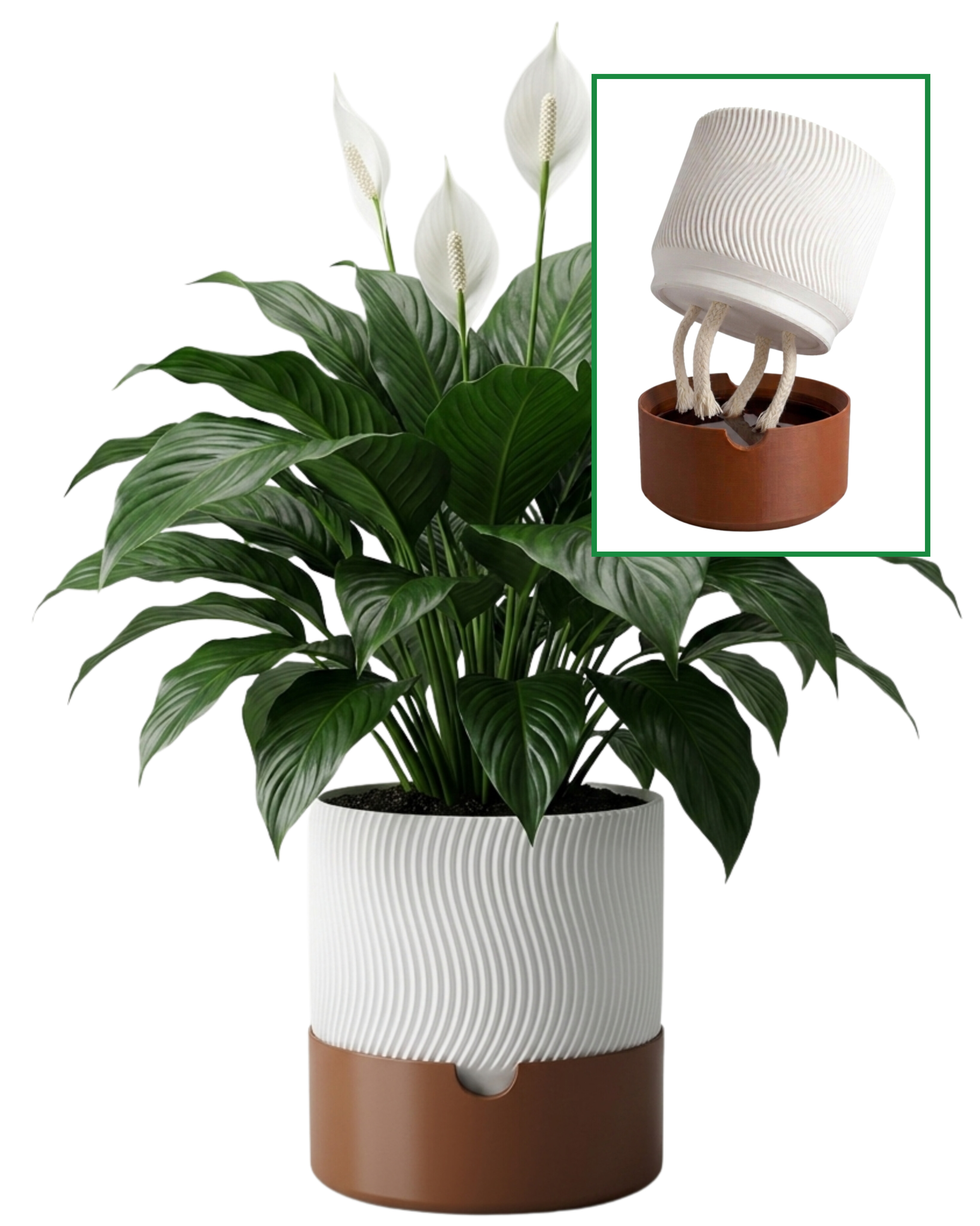 Self Watering Planter